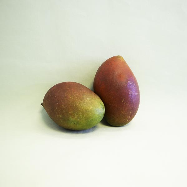 Pack 2u. Mango per avió Unitat Promoció