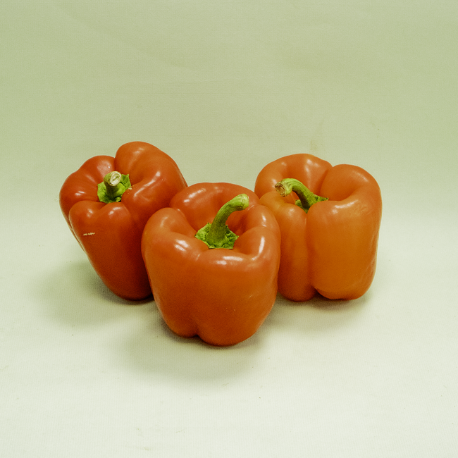 Pimiento California Rojo