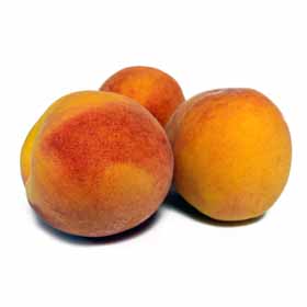 Prèssec Calanda