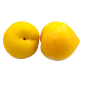 Pruna Sun Gold