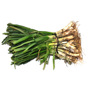 Calçots Feix 25 unitats