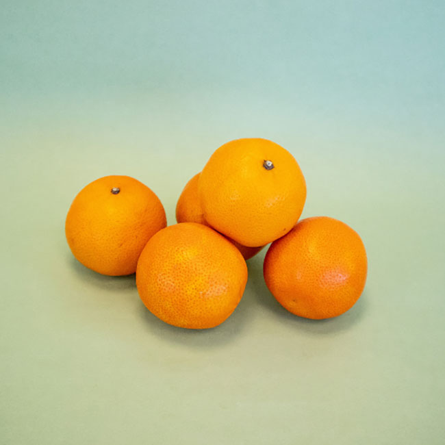 Clementina Nadorcott