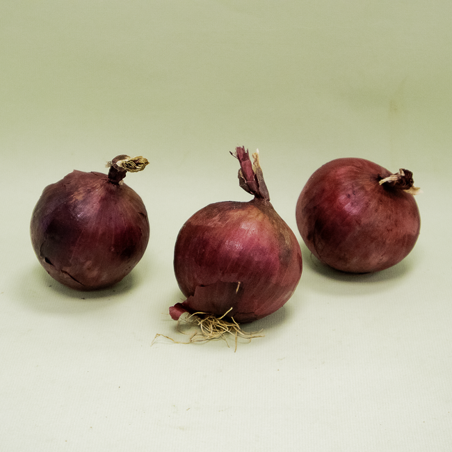 Ceba Morada Extra