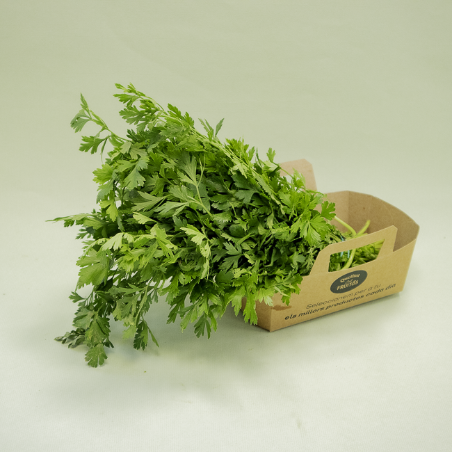 Julivert