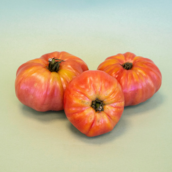 Tomàquet Rosa