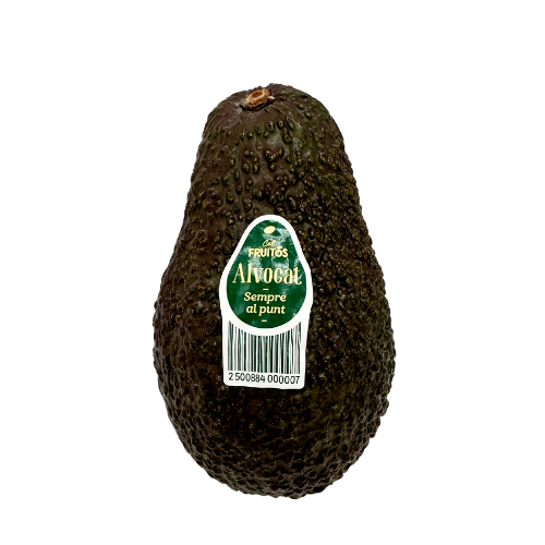 Alvocat Extra Cal Fruitós