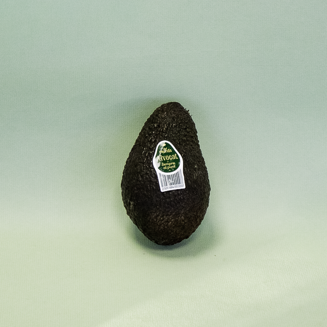Alvocat Extra Cal Fruitós