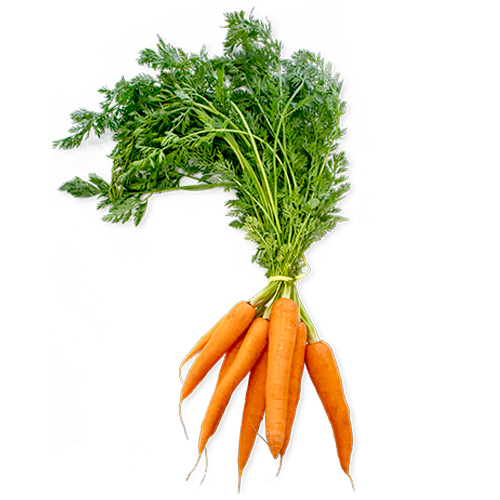 Zanahoria Manojo