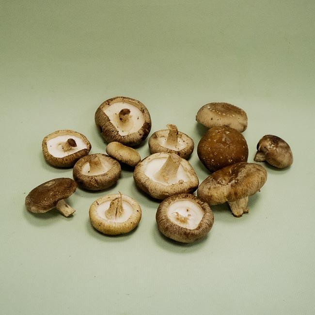 Shitake Granel