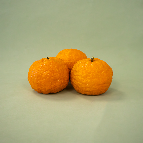 Clementina Gold Nugget