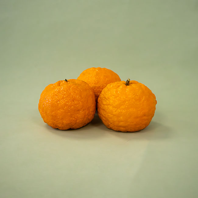 Clementina Gold Nugget