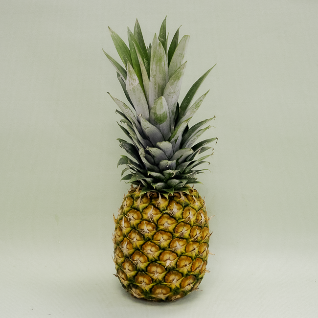 Pinya Unitat
