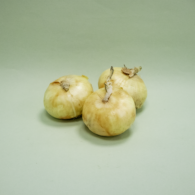 Cebolla seca Bio