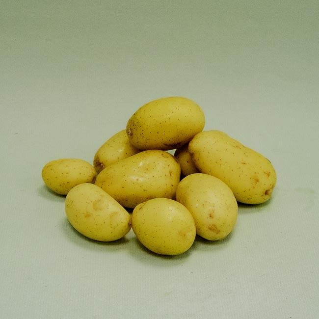 Patata Mini