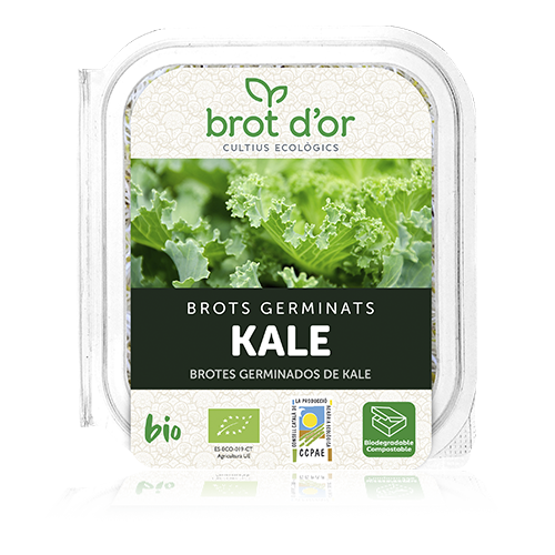 Germinado Bio de Col Kale (70 g)