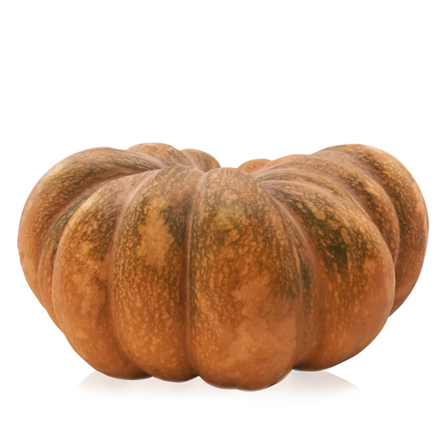 Calabaza (Entera)