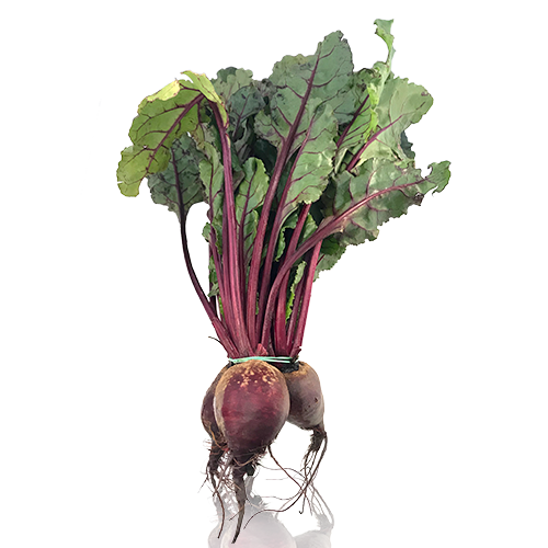 Remolatxa Manat Bio