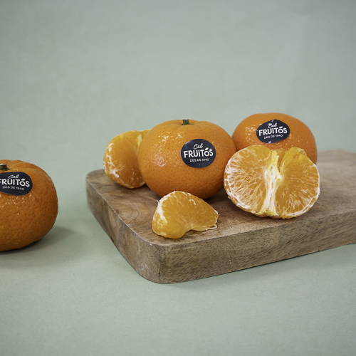 Clementina Orri Cal Fruitós