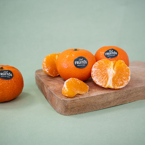 Clementina Orri Cal Fruitós