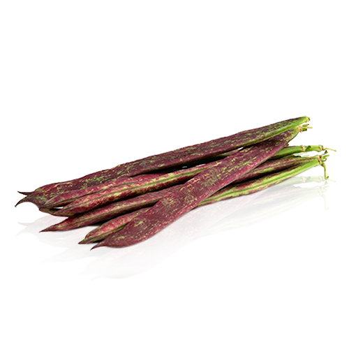 Mongeta Vermella