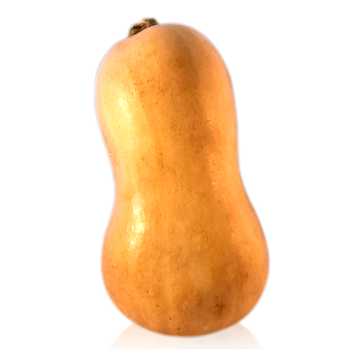Carbassa Violina