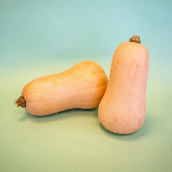 Calabaza Violina