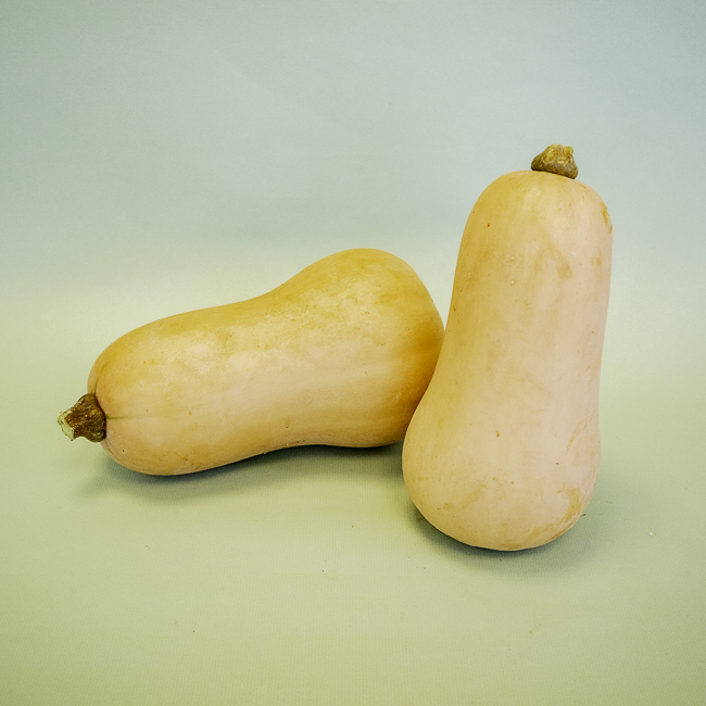 Calabaza Violina