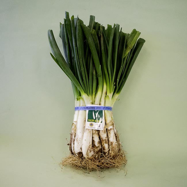 Calçots Manat (25 u.)