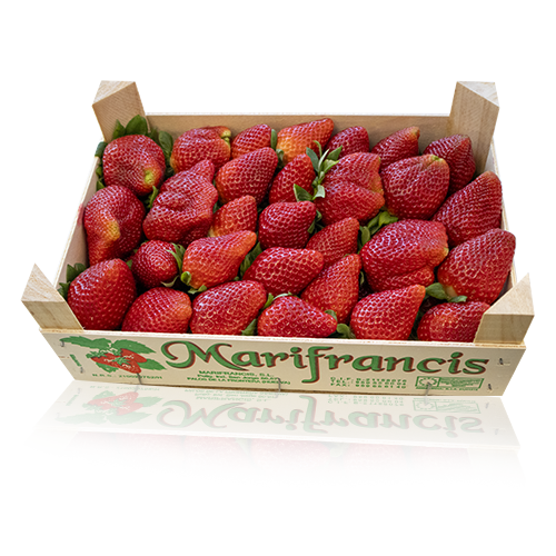 Maduixot Extra Caixa 2kg