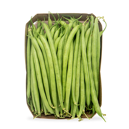 Mongeta Bobi Safata 400g