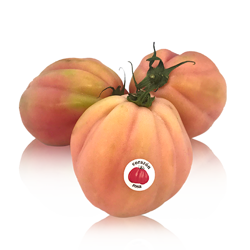 Tomàquet Cor de Bou Rosa