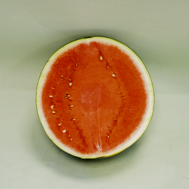 Síndria Negra Cal Fruitós (Mitja Unitat)