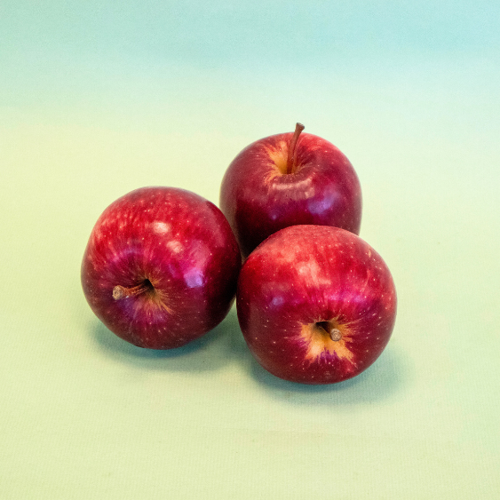 Manzana Royal Gala Extra Cal Fruitós