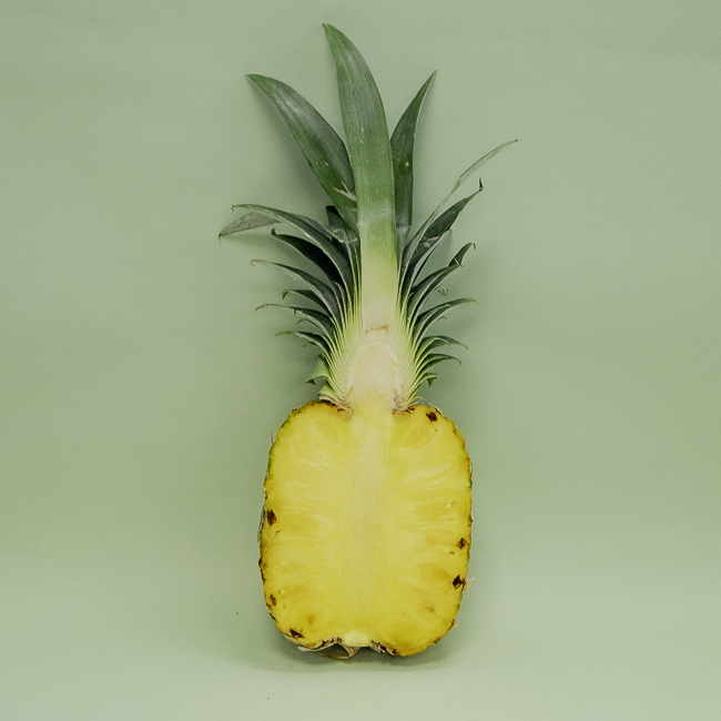 Pinya Avió Del Monte (mitja unitat)
