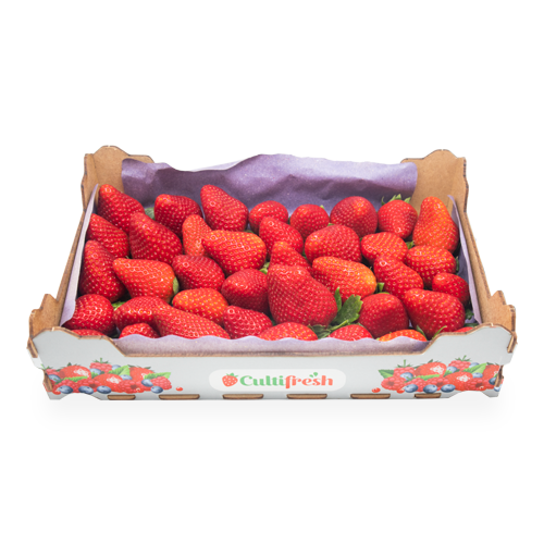 Maduixot de Huelva Caixa 1 Kg