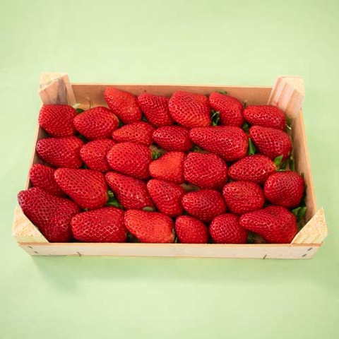 Fresón de Huelva Caja 1 Kg