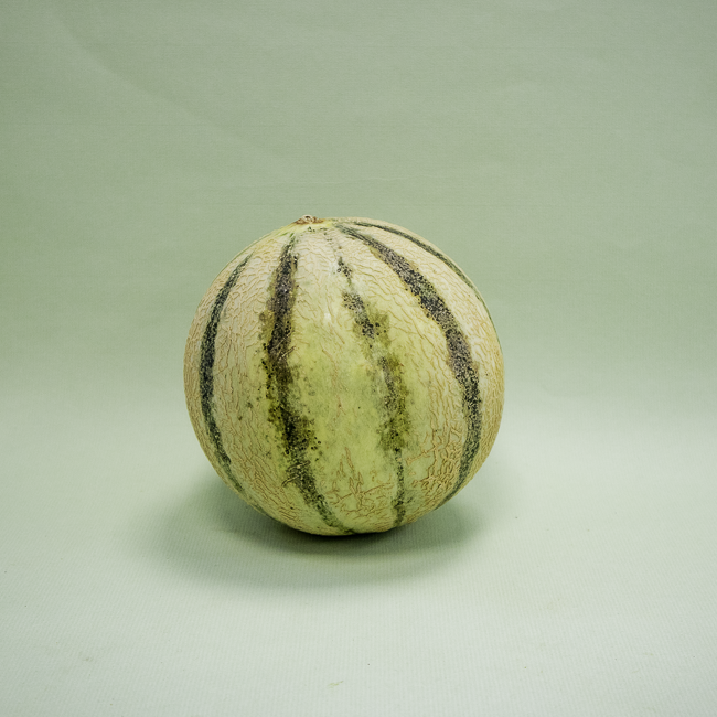 Meló Cantalup