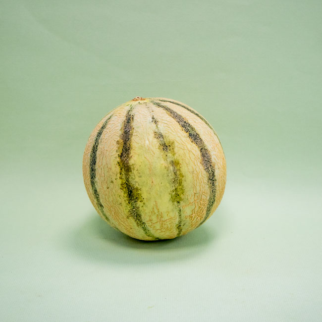 Melón Cantalup