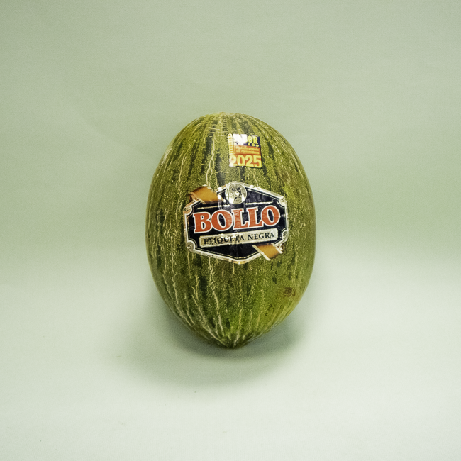Meló Bollo 