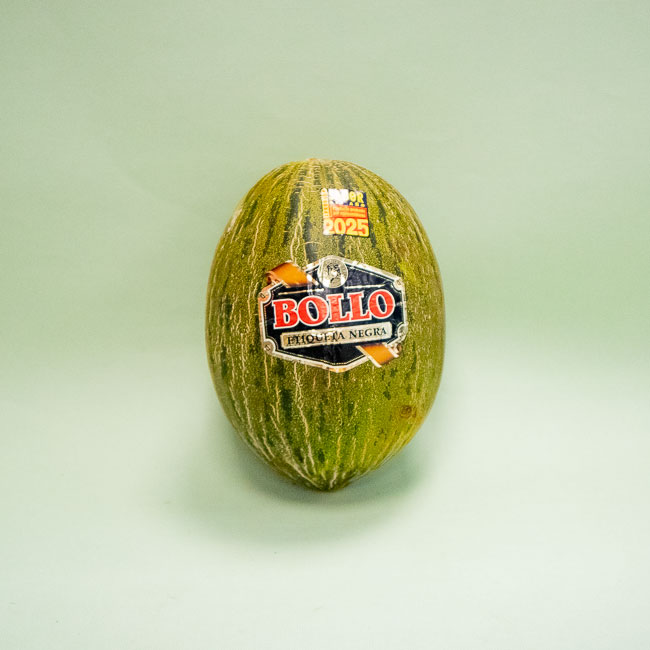 Melón Bollo 