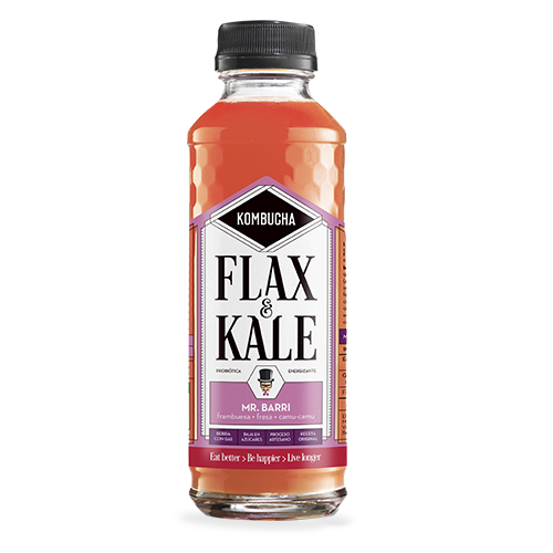 Kombutxa Mr. Barri 400ml Flax&Kale