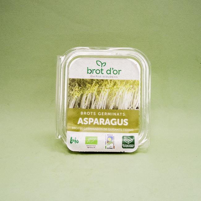Germinado de Asparagus BIO (50 g)