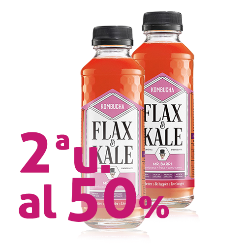 Pack 2u. Kombutxa Mr. Barri (400 ml) Flax & Kale