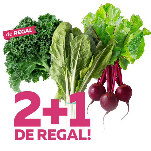 2+1 de Regal (Bledes, Remolatxa, Col Kale)