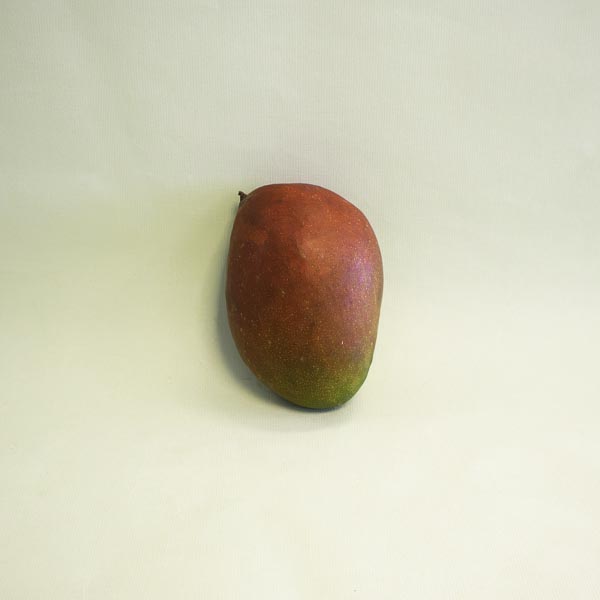 Mango per avió Unitat Promoció