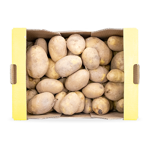 Patata Agria Especial per Fregir Caixa 10kg
