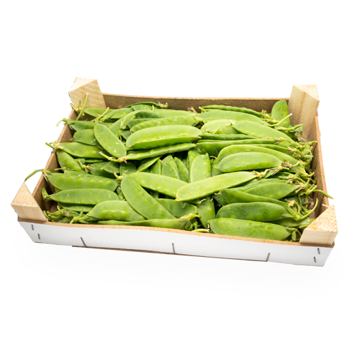 Pèsols Tirabec Caixa 1kg