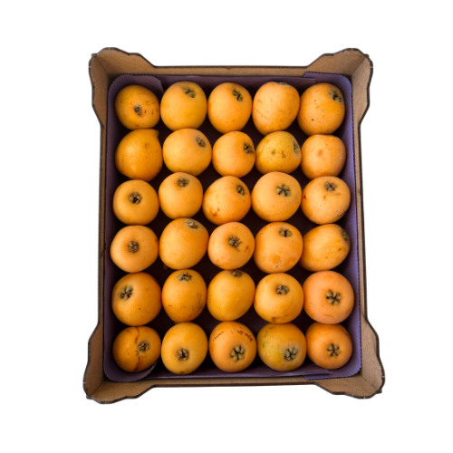 Nespra Caixa 2kg